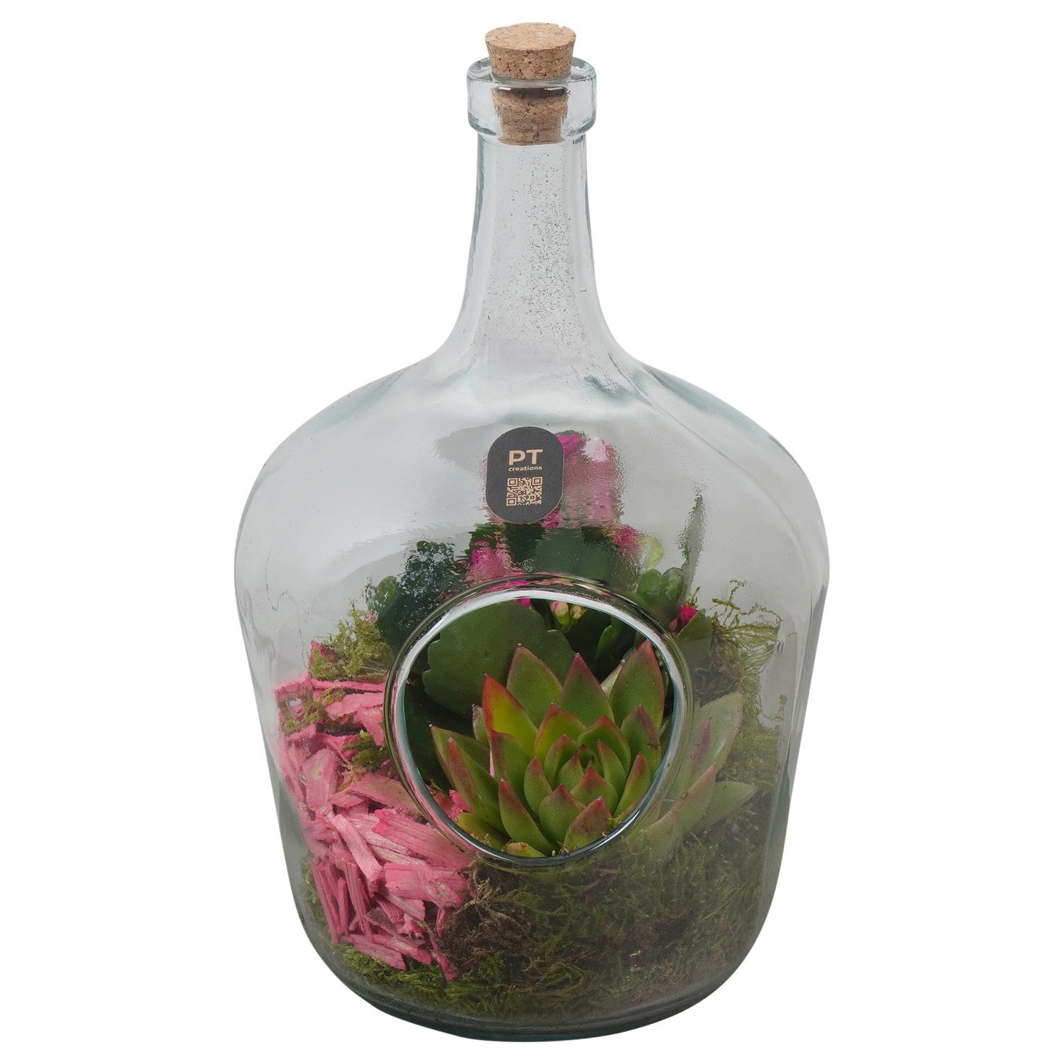 PTIG2714 Arrangement Indoor in glas fles, D 16