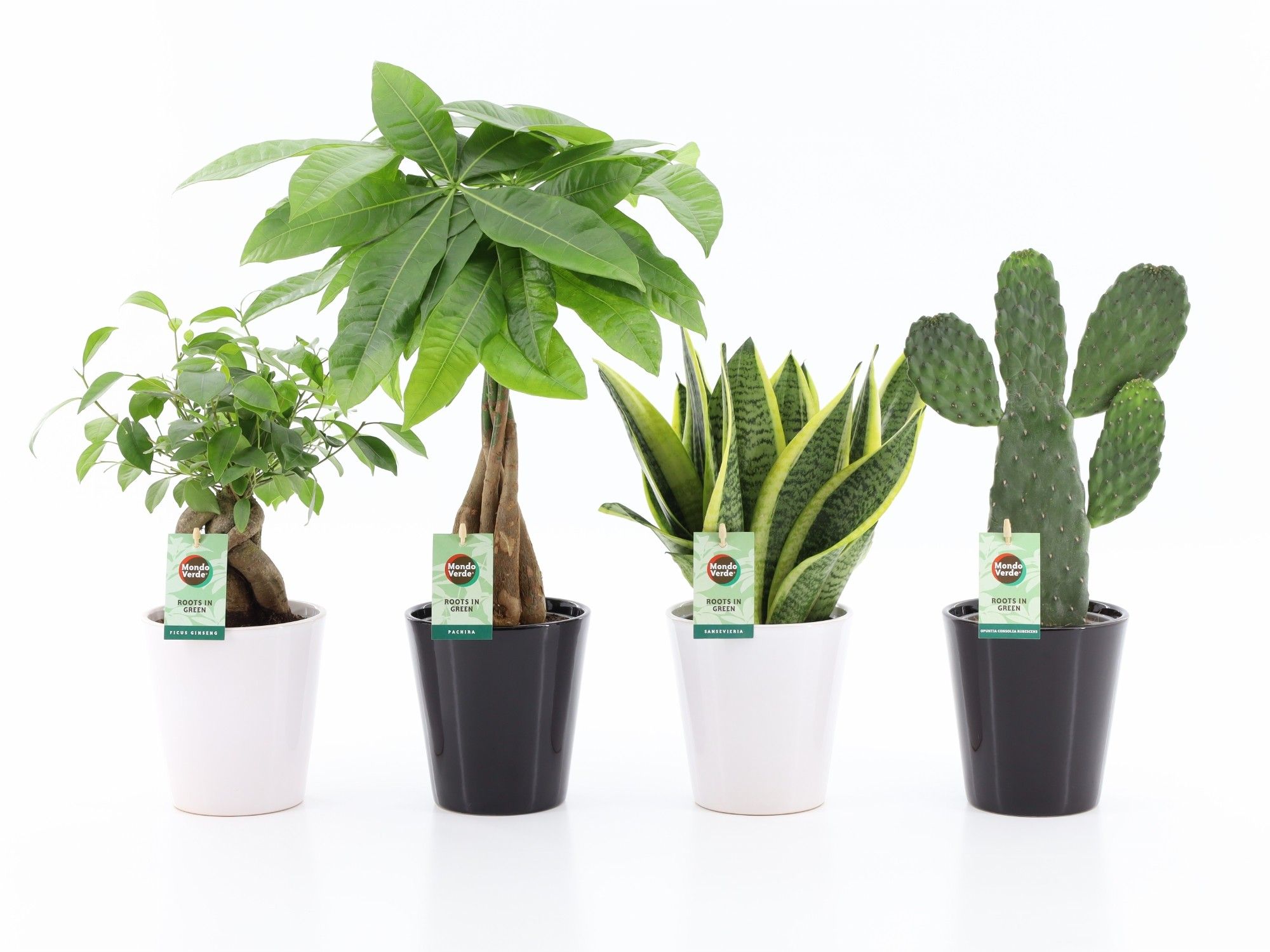 Asia Mix in Zwart & Wit Keramiek, D 13