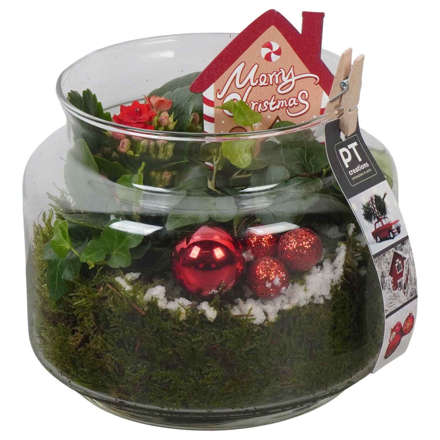 PTCHR7455 Arrangement Christmas Red in glazen pot, D 16 cm