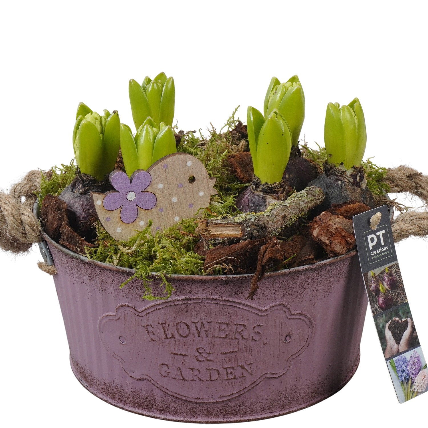 PTHC9140 Arrangement Hyacints in zink pot, D 22