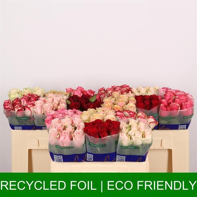 Роза од. Микс в баке 50, шт.