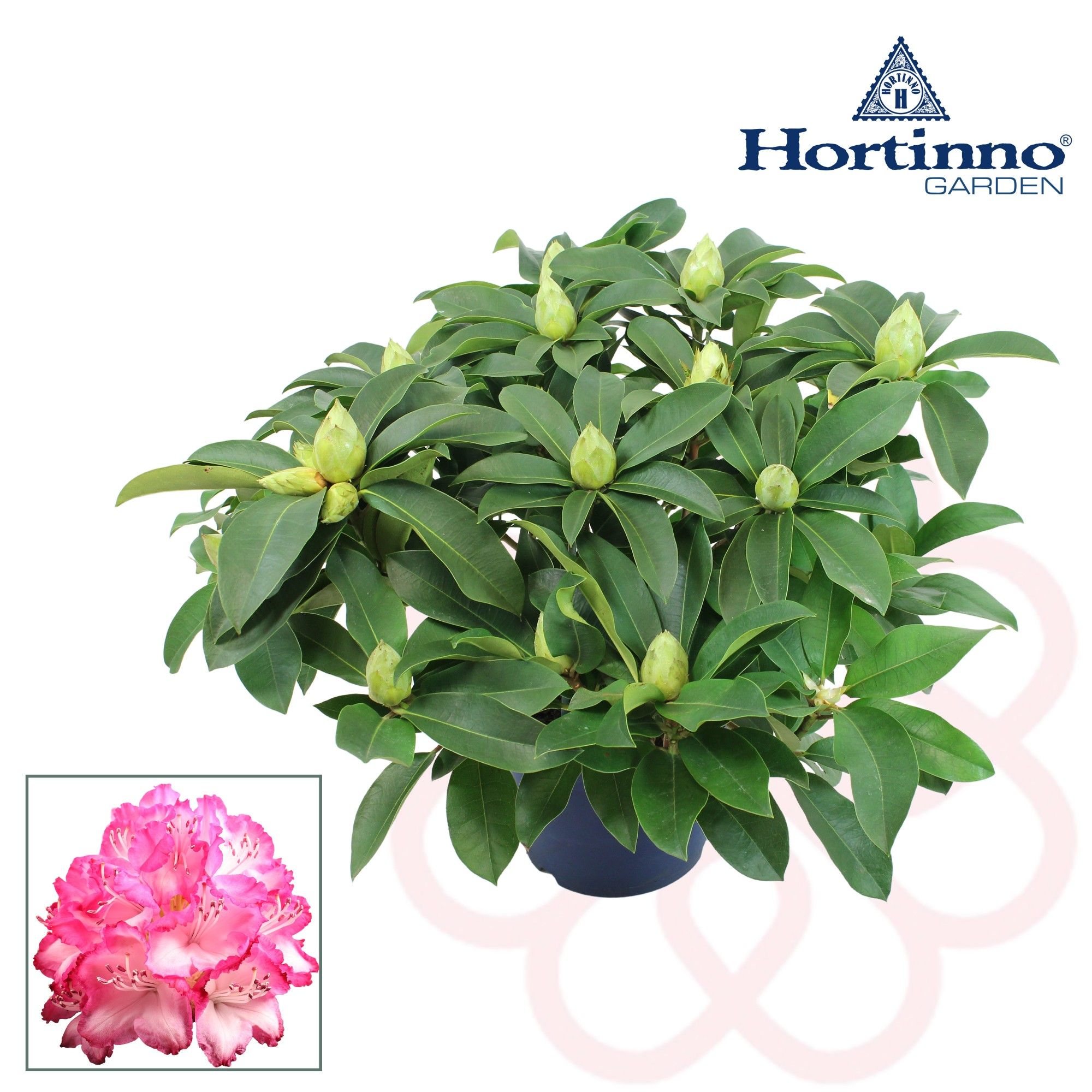 Hortinno® Garden XXL The Original groen 50 - 60 cm, D 23 cm