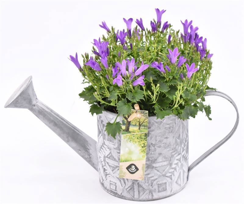 Zink gieter mix grijs 11cm, D 11