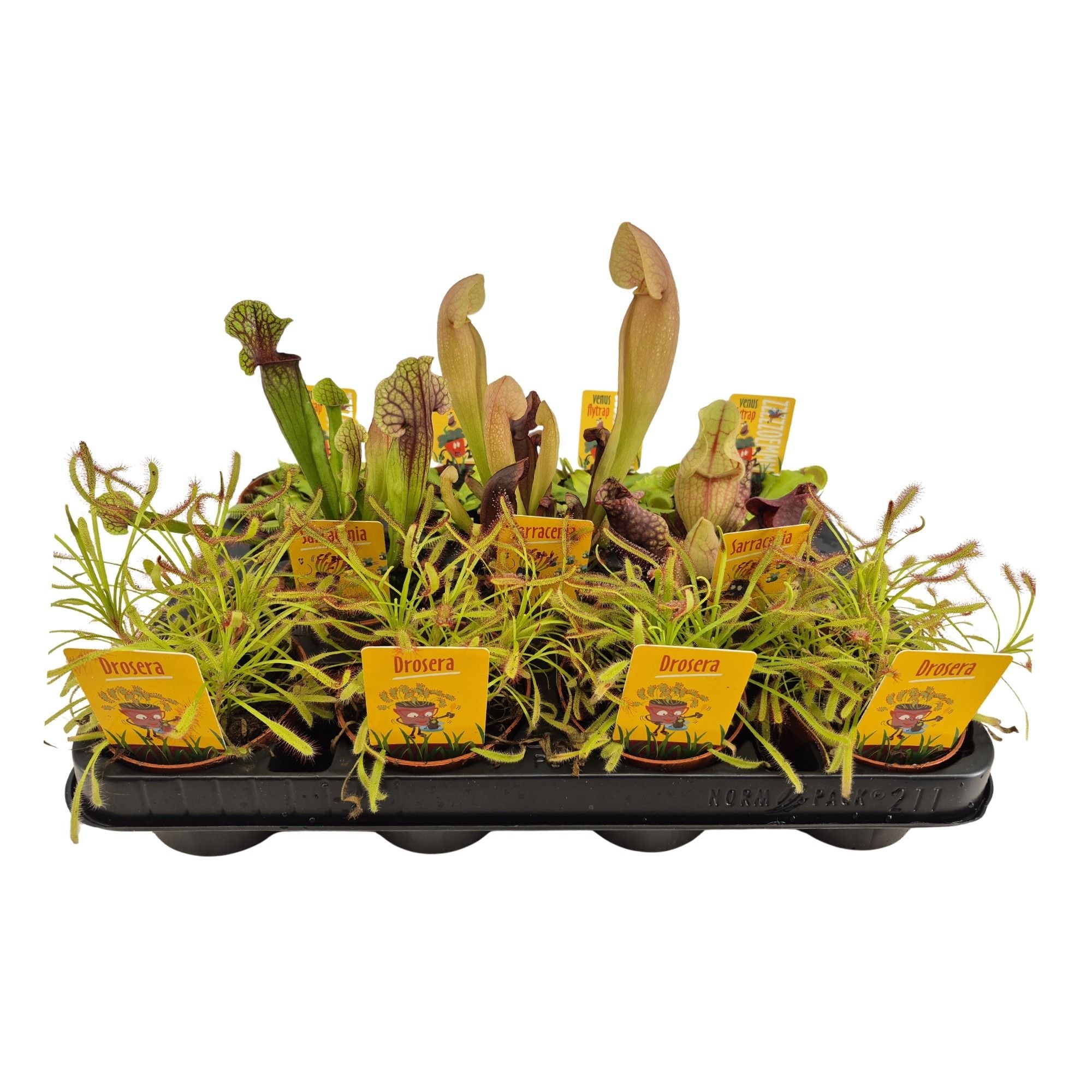 vleeseters mix 8.5cm, D 8,5