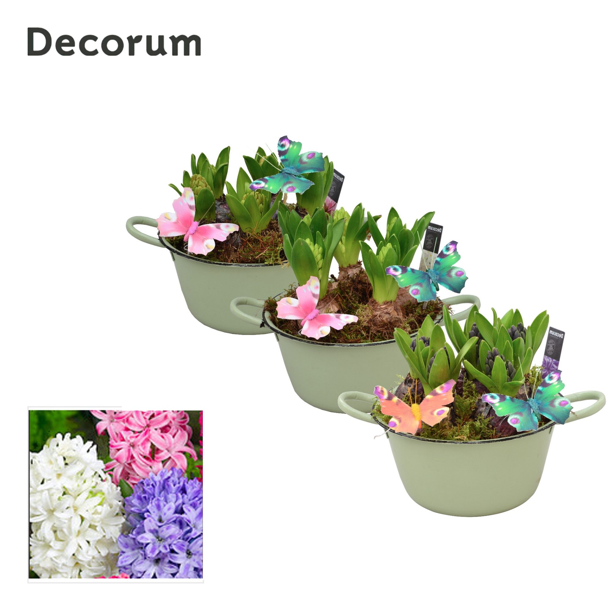 Hyacint Bol en émail HL10573 [PURE], D 18