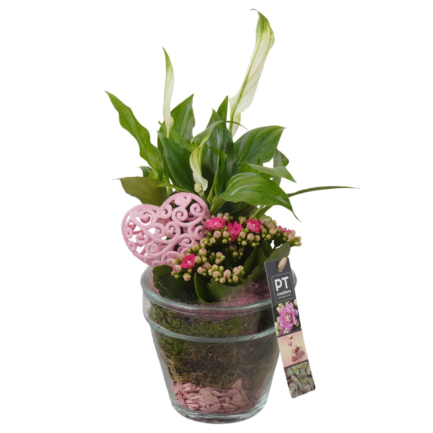 PTVMG4961 Arrangement Valentines-Mothersday in glas vaas, D 13