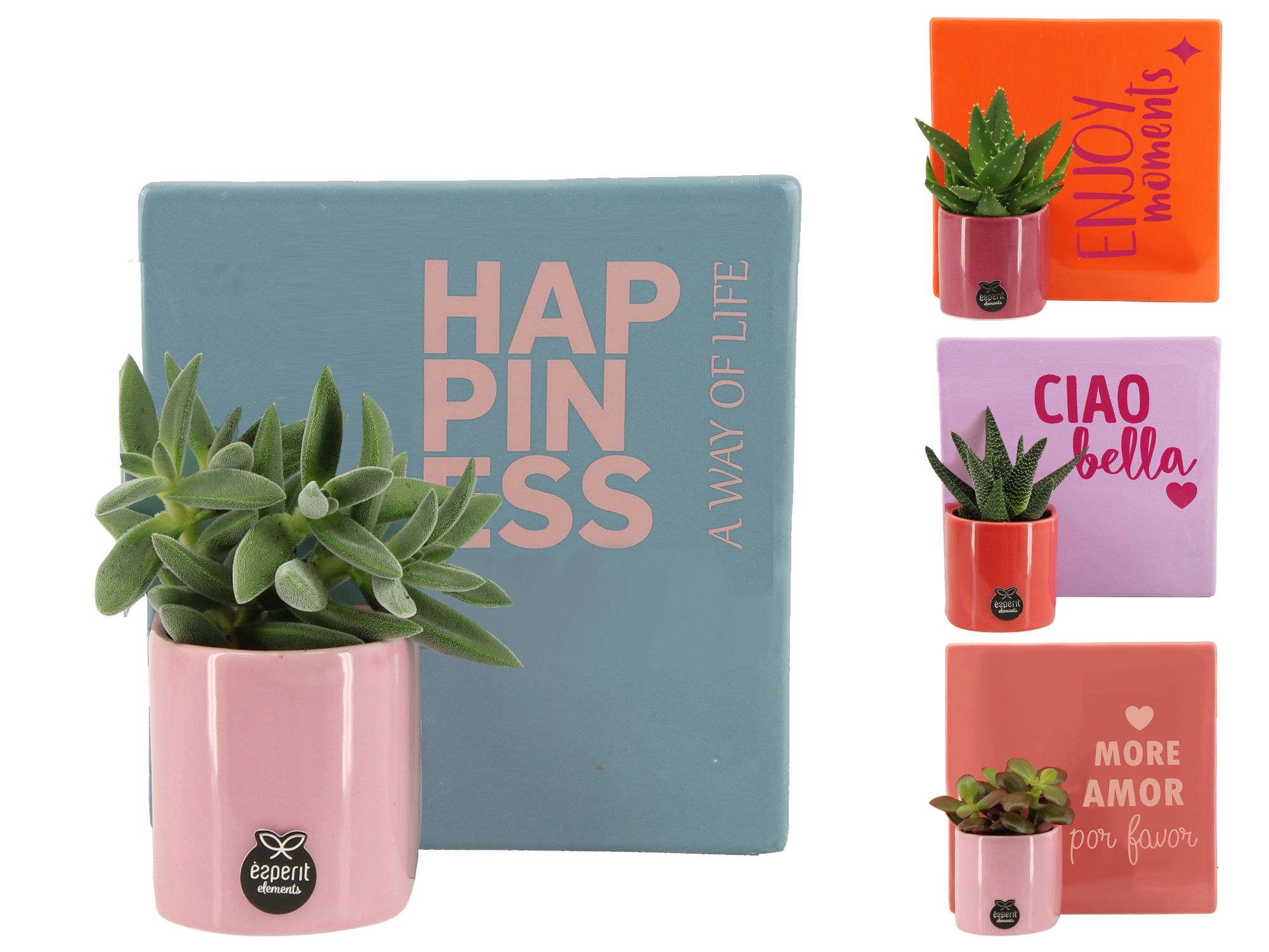 22013: Lovess arrangement, D 18