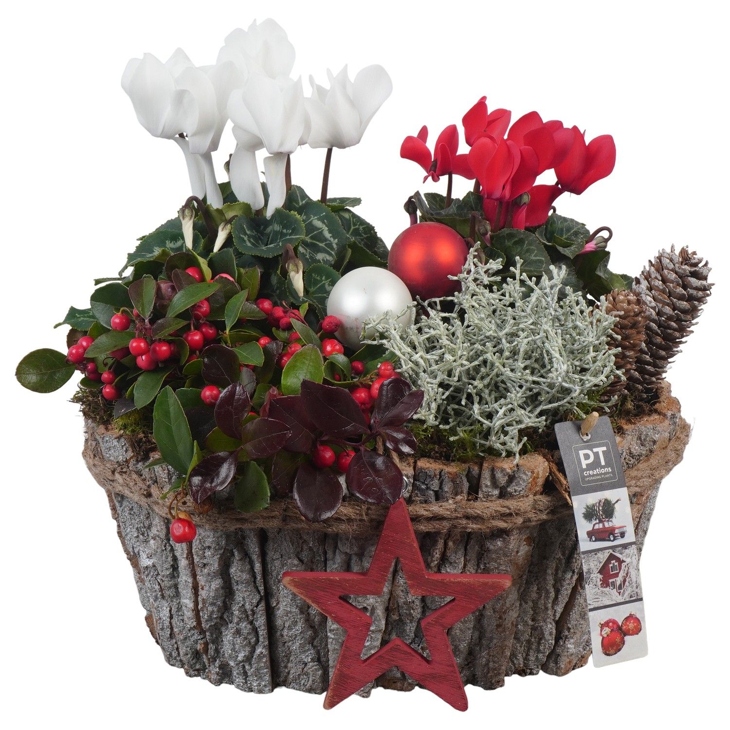 PTWO1918 Arrangement Winter Outdoor in houten bak, D 29 cm PTWO1918 Arrangement Winter Outdoor in houten bak, D 29 cm