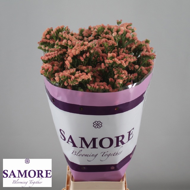 Статица Роял Оранж 80, шт.