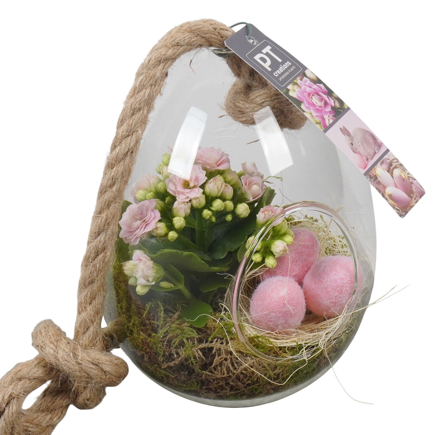 PTPG9309 Arrangement Easter in glas vaas, D 13