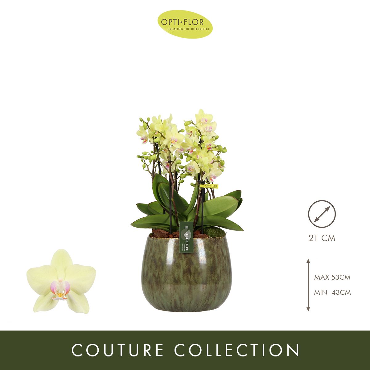 N°55 Boquetto Sensation, D 21 cm