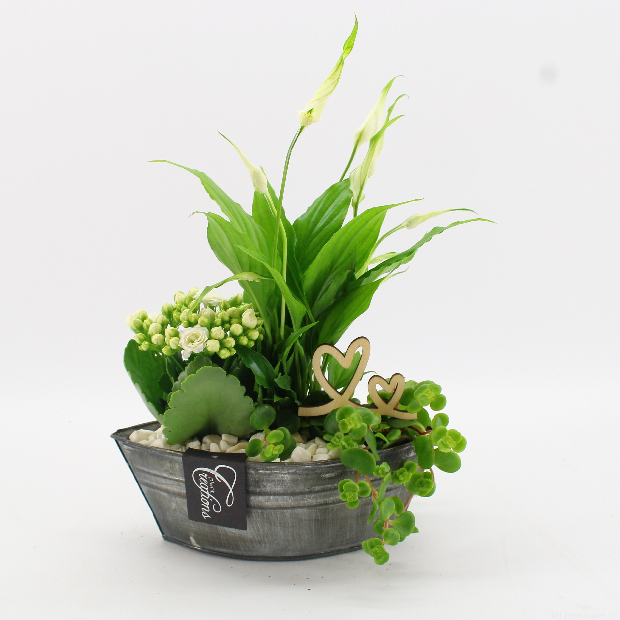 FDRM-2614W Romantic Fundamentals, D 22