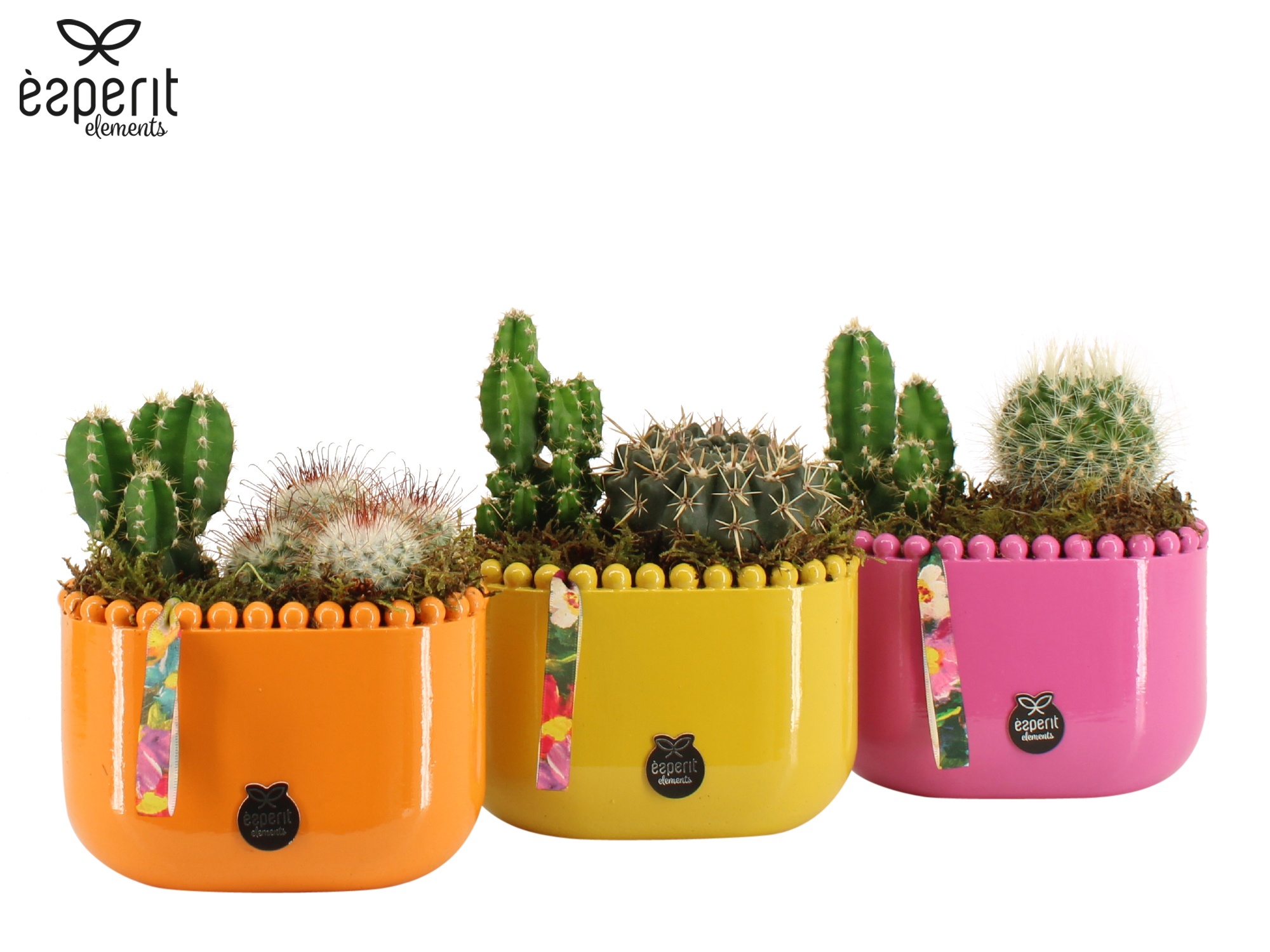 31785: Reinvention arrangement, D 14