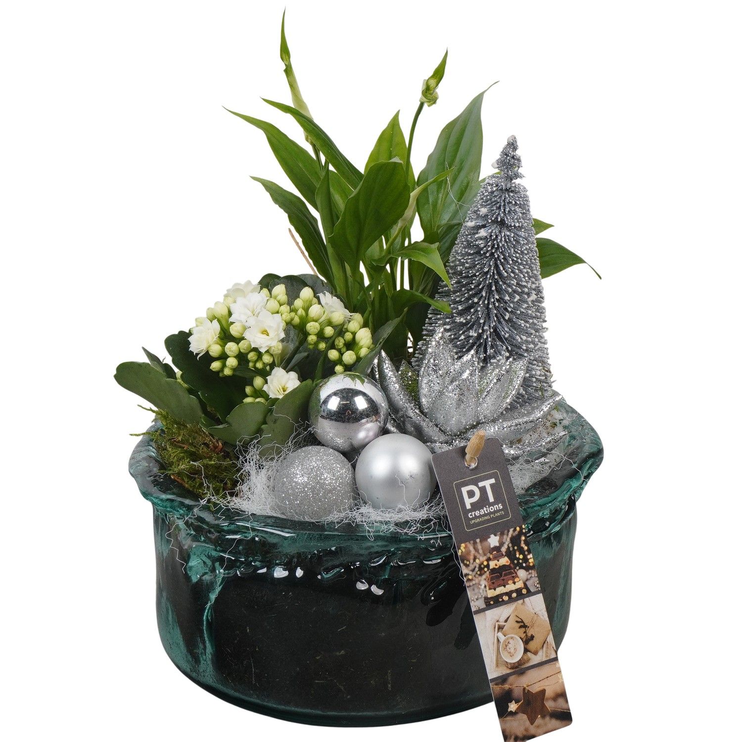 PTCHW4366 Arrangement Christmas White in glas schaal, D 18 cm
