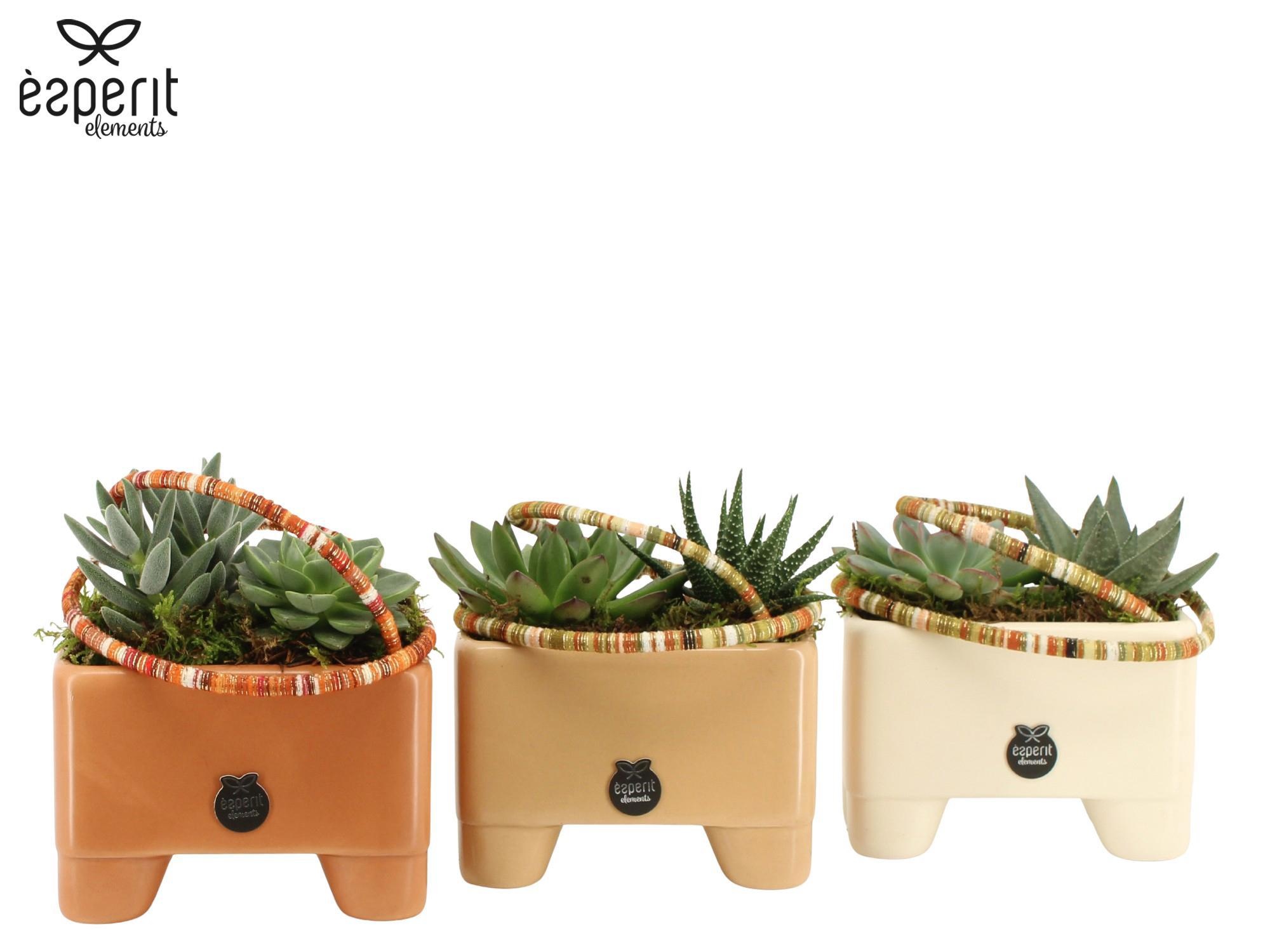 41833: Recreate arrangement, D 14