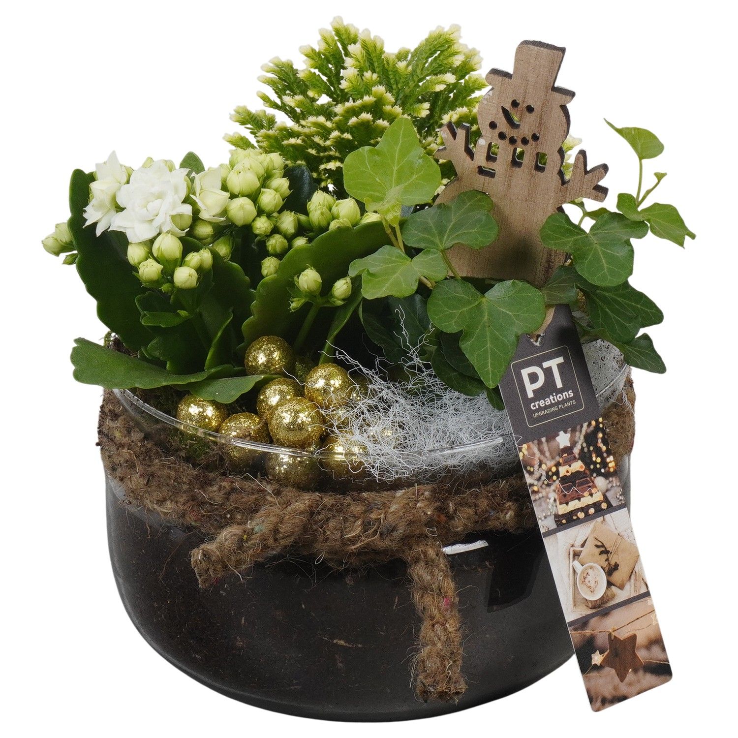 PTCHG5727 Arrangement Christmas Gold in glas schaal, D 16 cm