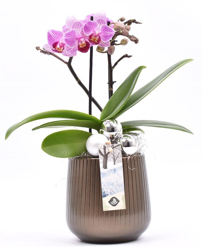 Ker. pot verticiale strepen 14cm, D 14 cm