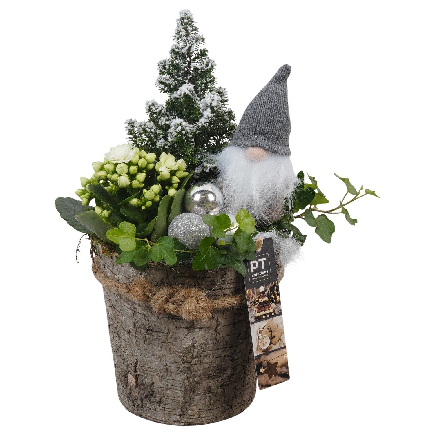 PTCHW4326 Arrangement Christmas White in houten pot, D 15 cm