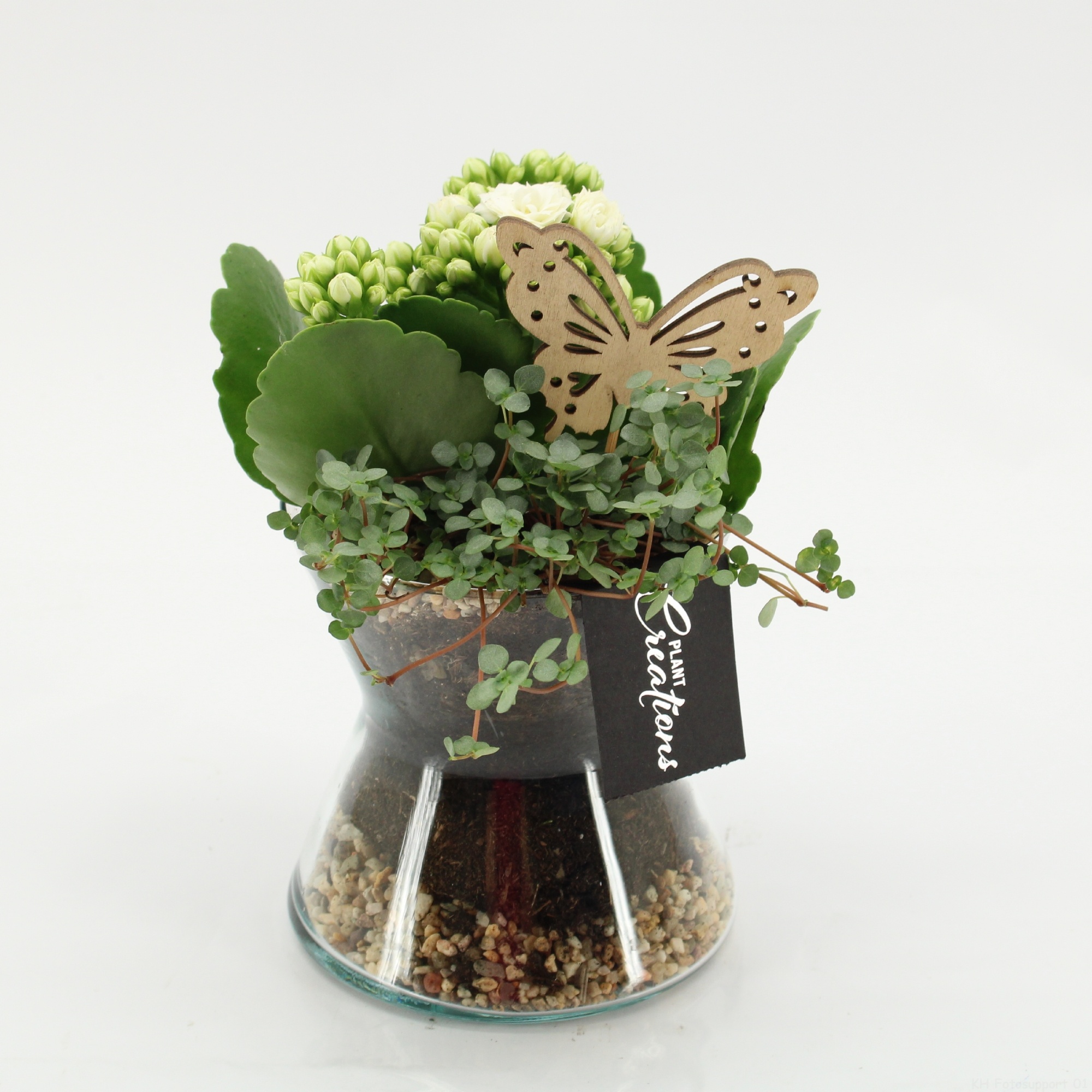 ESCR-2624W Essentials, D 12