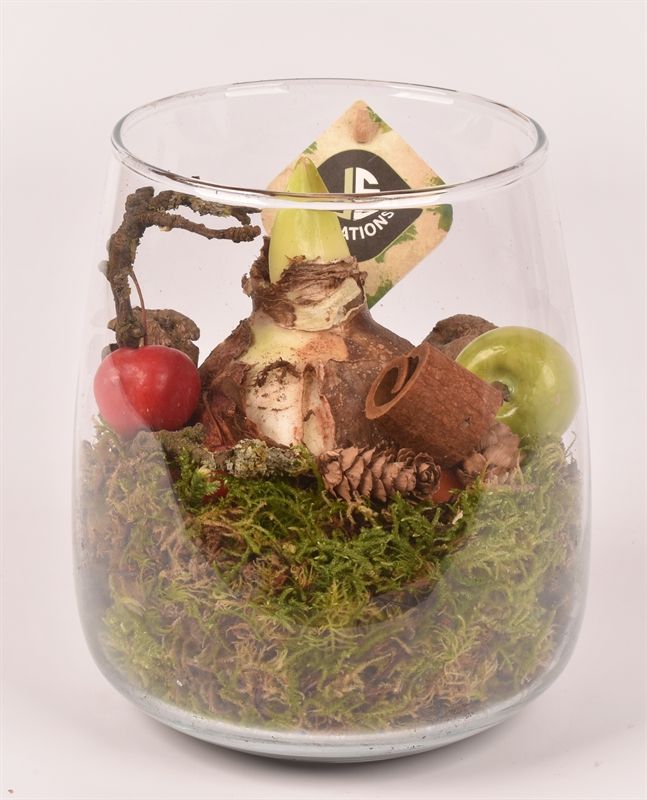 Glas vaas 14cm/ h 17cm, D 17 cm