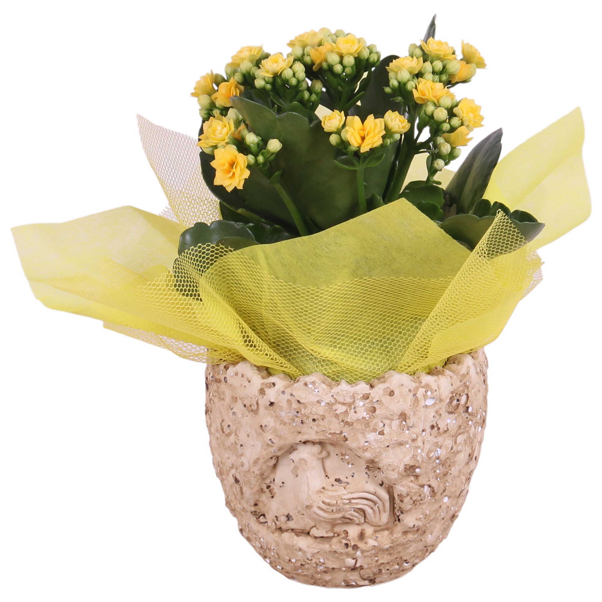 Easter Arr. Indoor Ceramic Lavastone Egg Chicken ReliefØ12cm 1PP, D 12