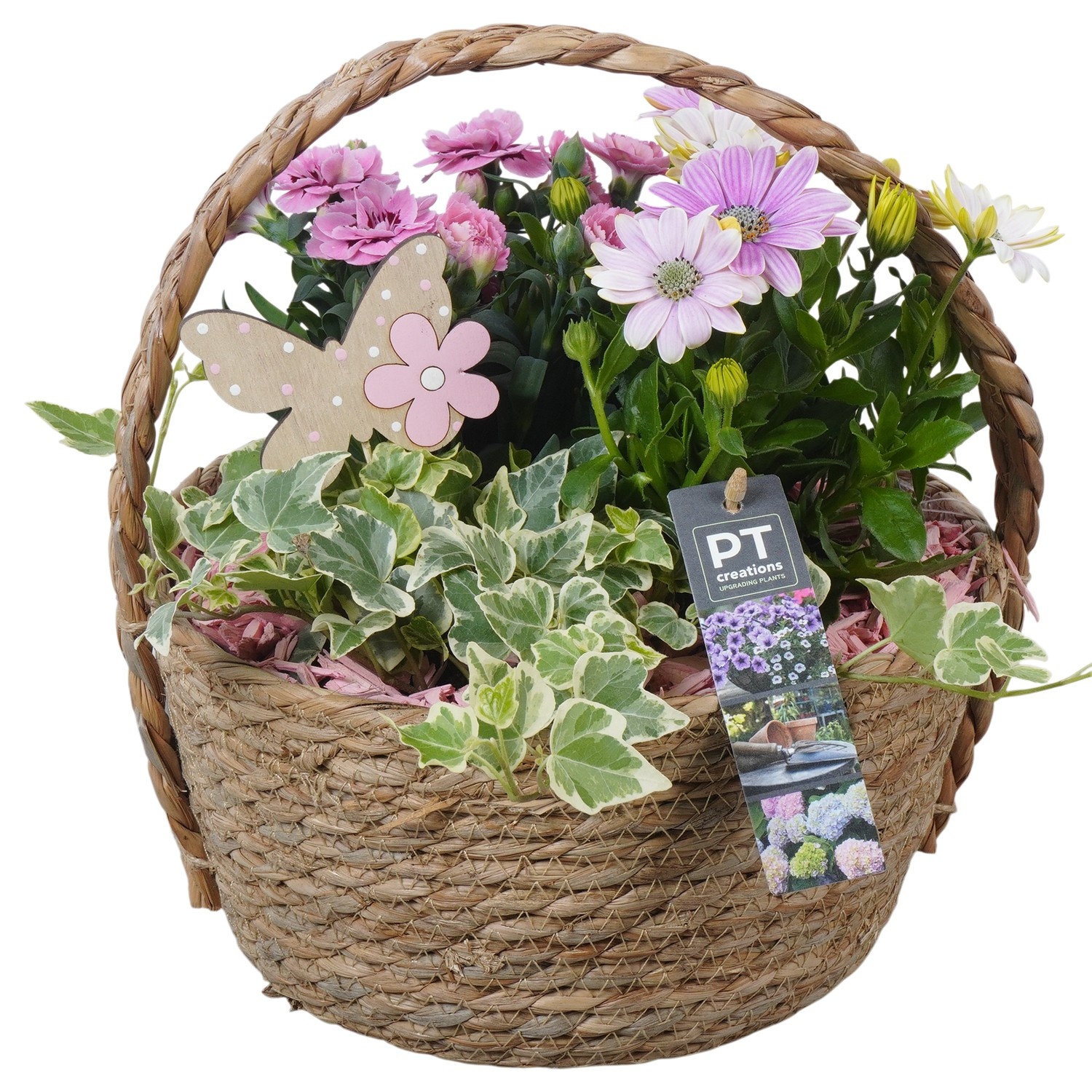 PTPP6973 Arrangement Patio in rieten mand, D 22