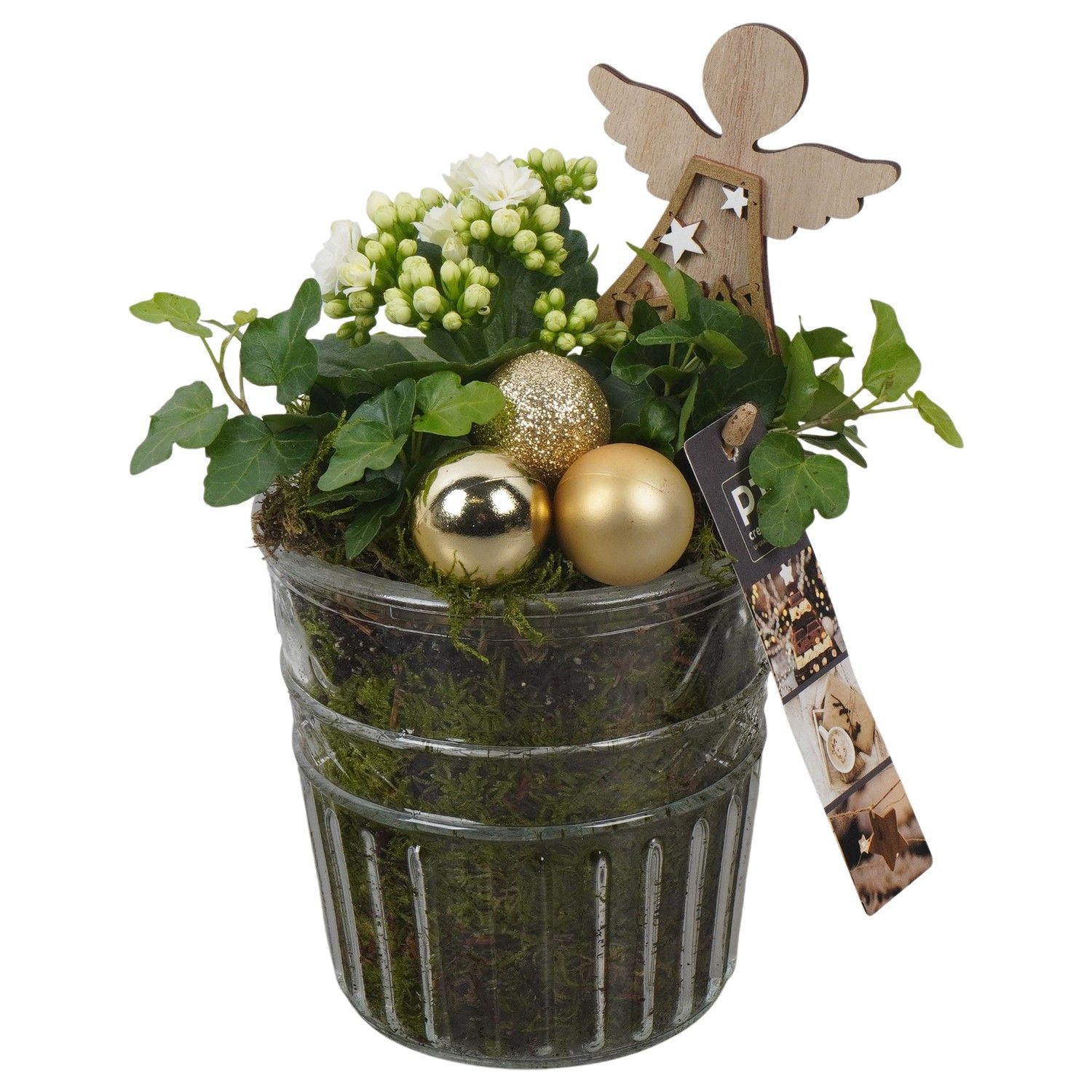 PTCHG5703 Arrangement Christmas Gold in glazen pot, D 12 cm