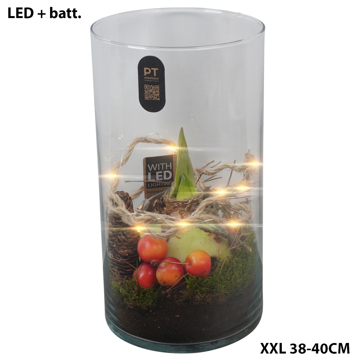 PTAXL2905 Arrangement Amaryllis XXL in glas cylinder, D 16 cm