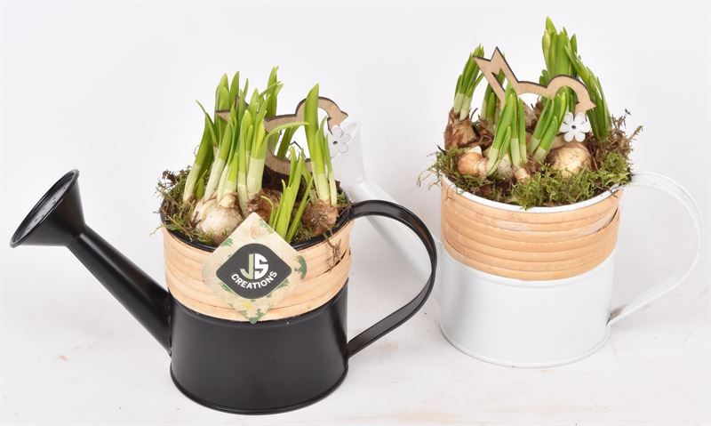 Zink Gieter Met Bamboo 10cm, D 10