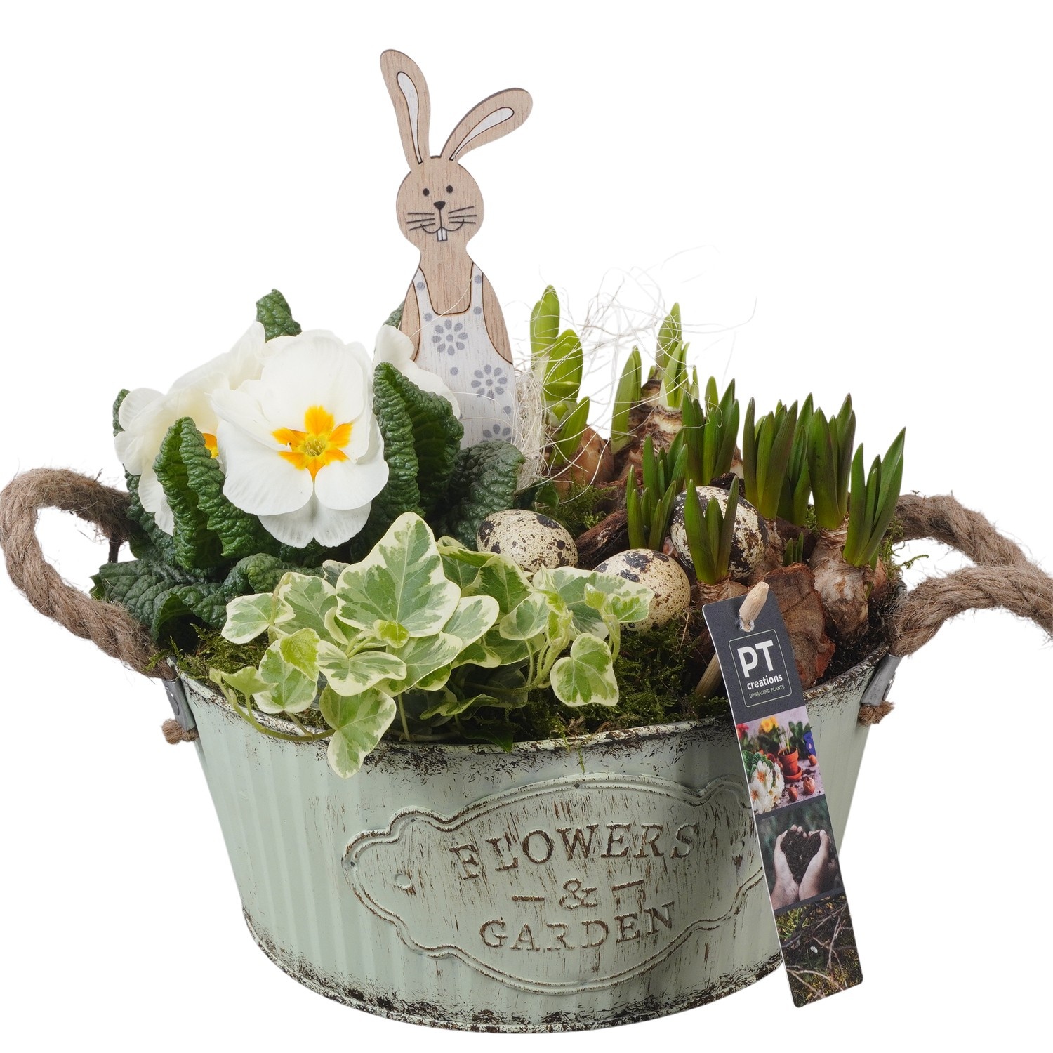 PTBMP5664 Arrangement Easter Bulbs Mix in zink pot, D 22