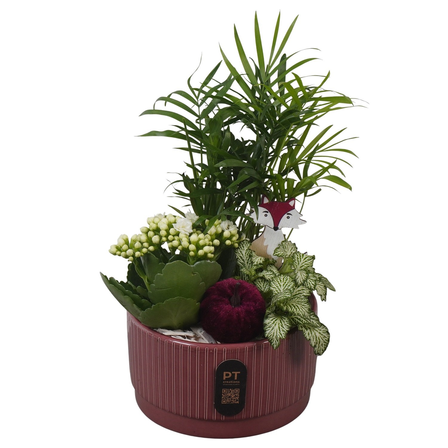 PTHI3208 Arrangement Autumn Indoor in keramiek schaal, D 16