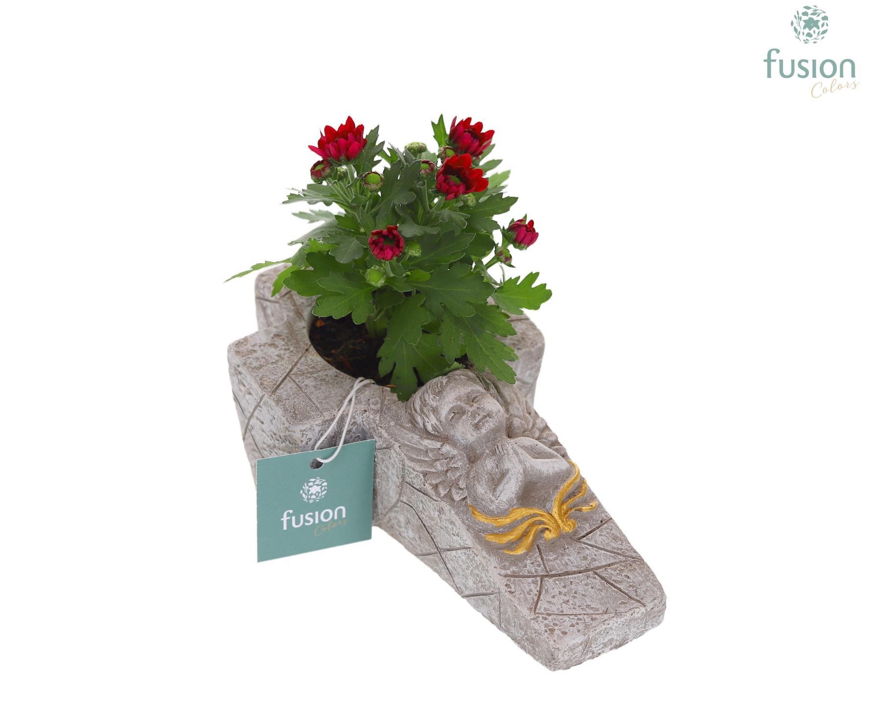Cement Kruis S met Tuinplant, D 17 cm Cement Kruis S met Tuinplant, D 17 cm