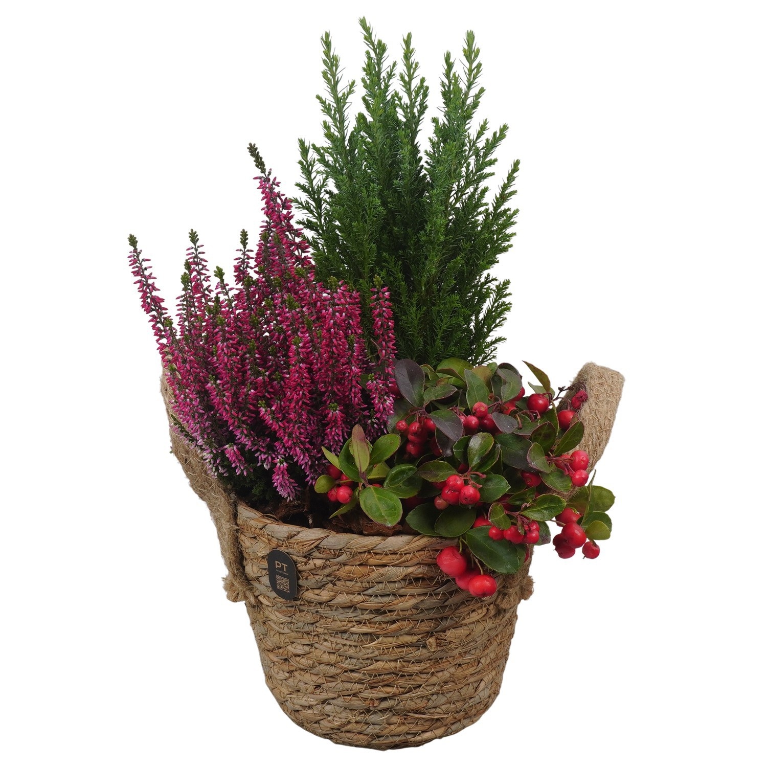 PTHO7529 Arrangement Autumn Outdoor in rieten mand, D 17