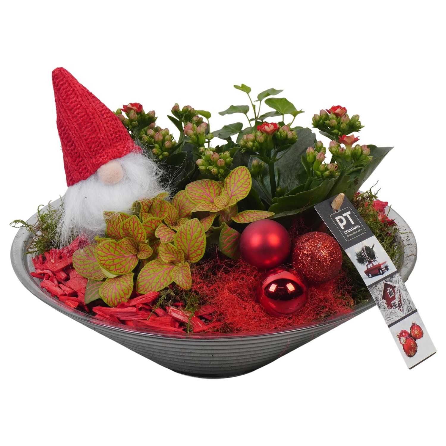 PTCHR7429 Arrangement Christmas Red in glas schaal, D 26 cm