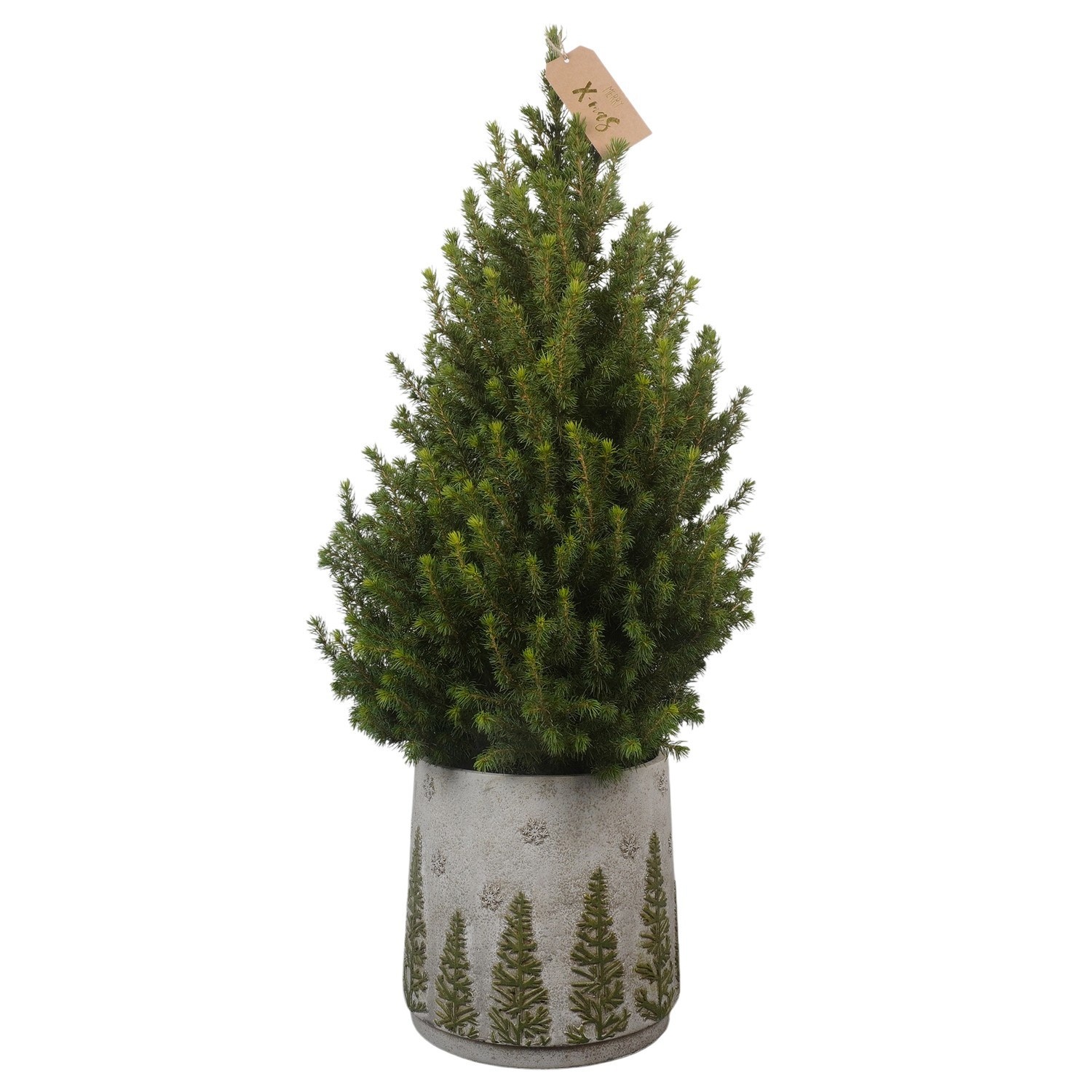 PTK26609 Conica Perfecta in beton pot met decoratie, D 19