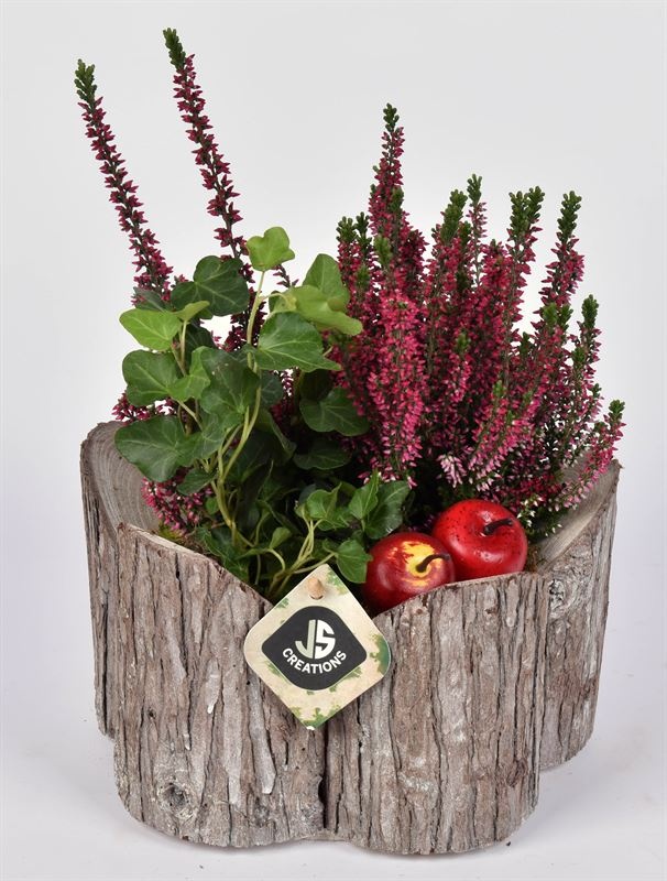 Hout rond Dia 22, D 22 cm Hout rond Dia 22, D 22 cm