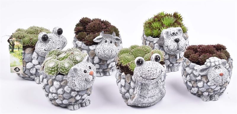 Cement dierenmix 11 cm, D 15