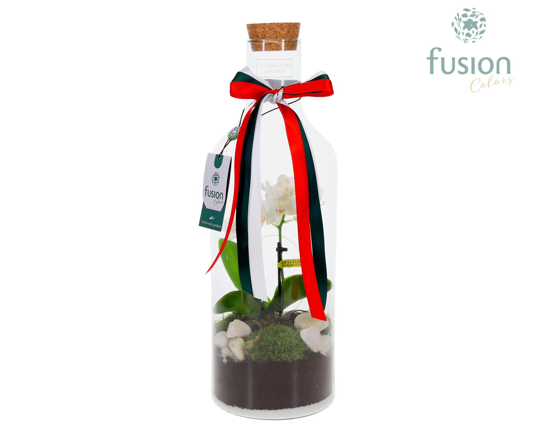 Green Bottle Fles Medium met Phalaenopsis, D 15 cm