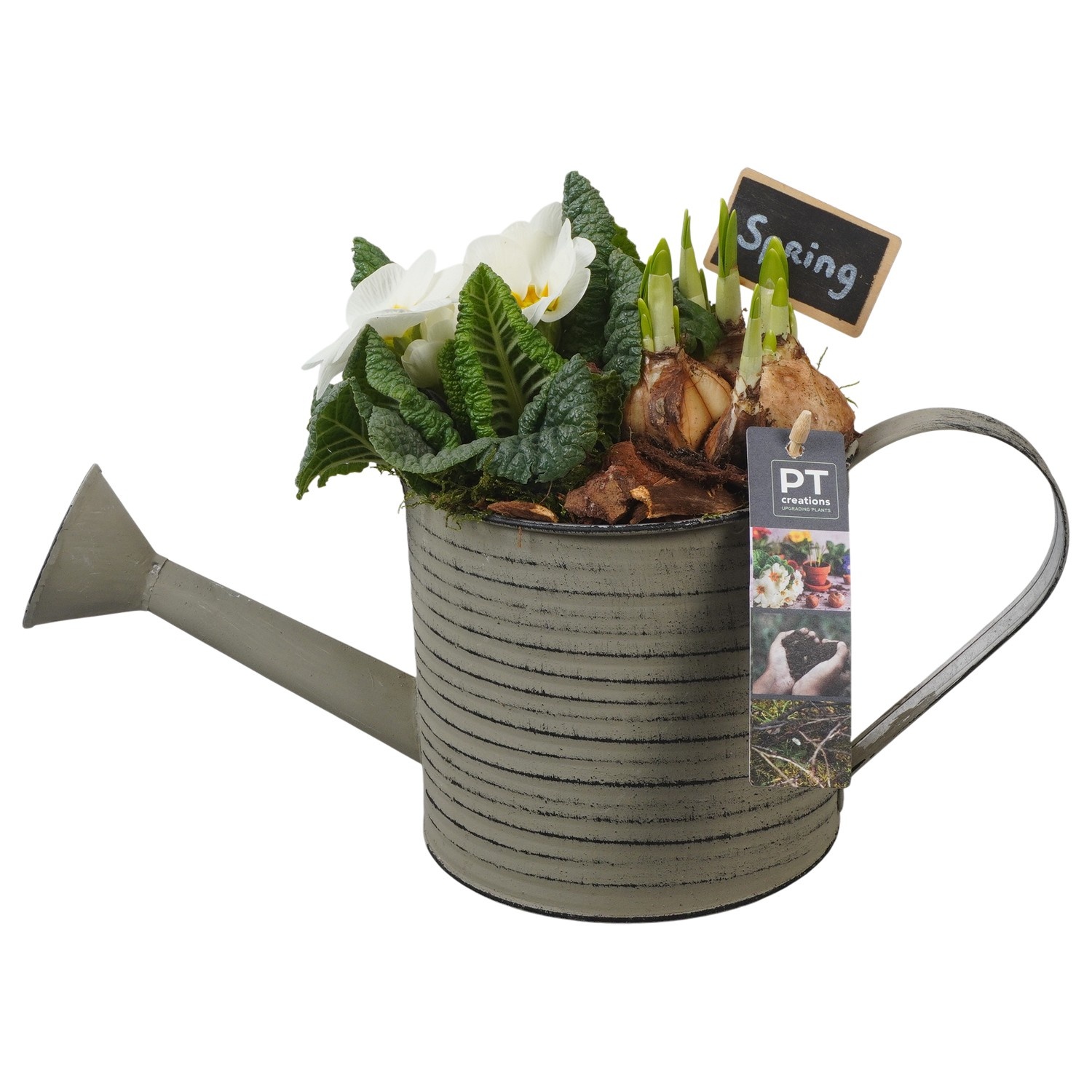 PTBM3734 Arrangement Flower Bulbs Mix in metalen gieter, D 16