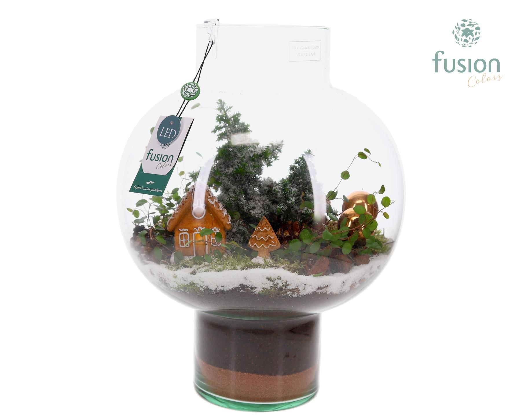 Green Bottle Laura Large met Kerst arrangement, D 31 cm Green Bottle Laura Large met Kerst arrangement, D 31 cm