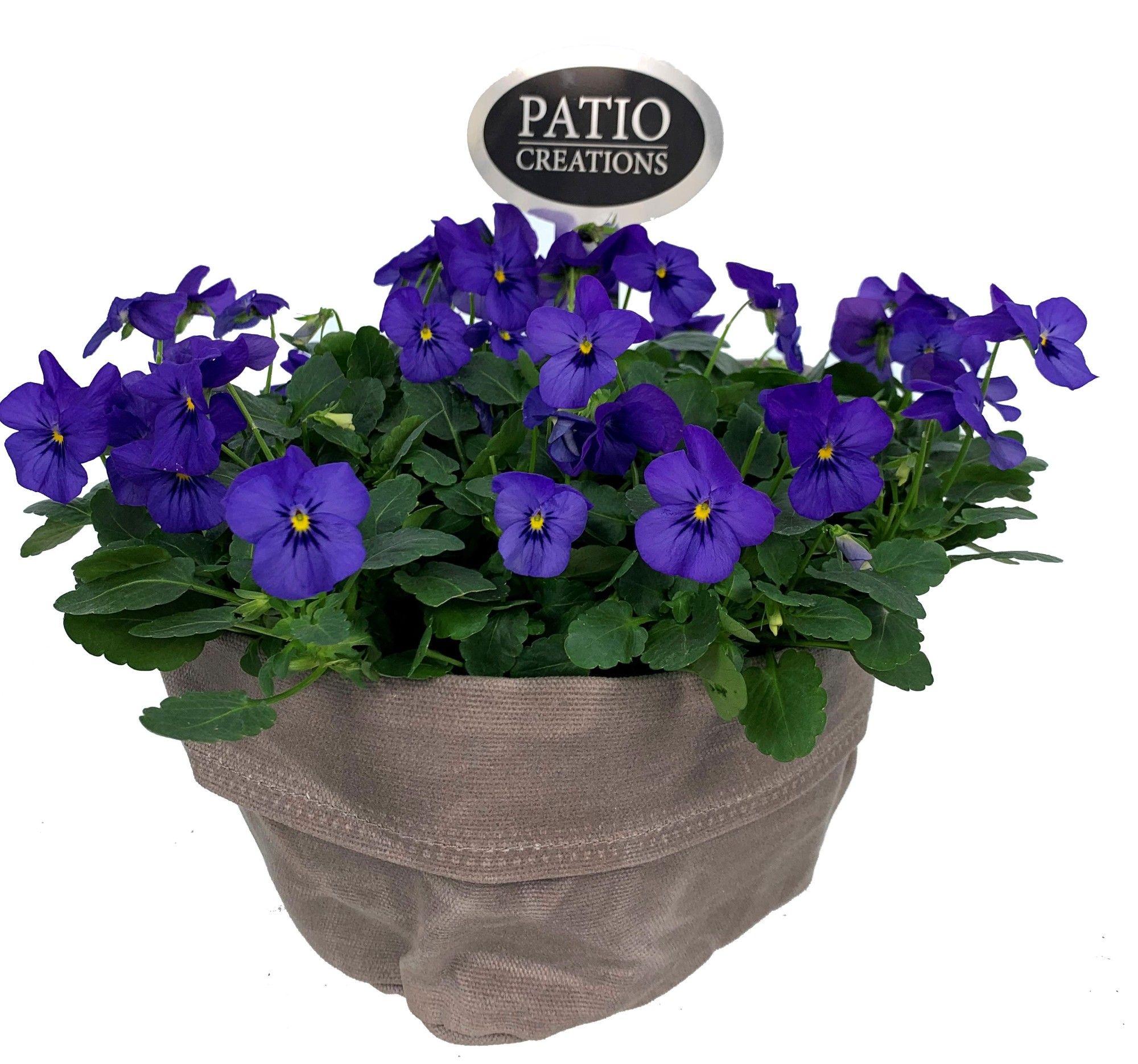 V745-9323 Viola canvas rond, D 22