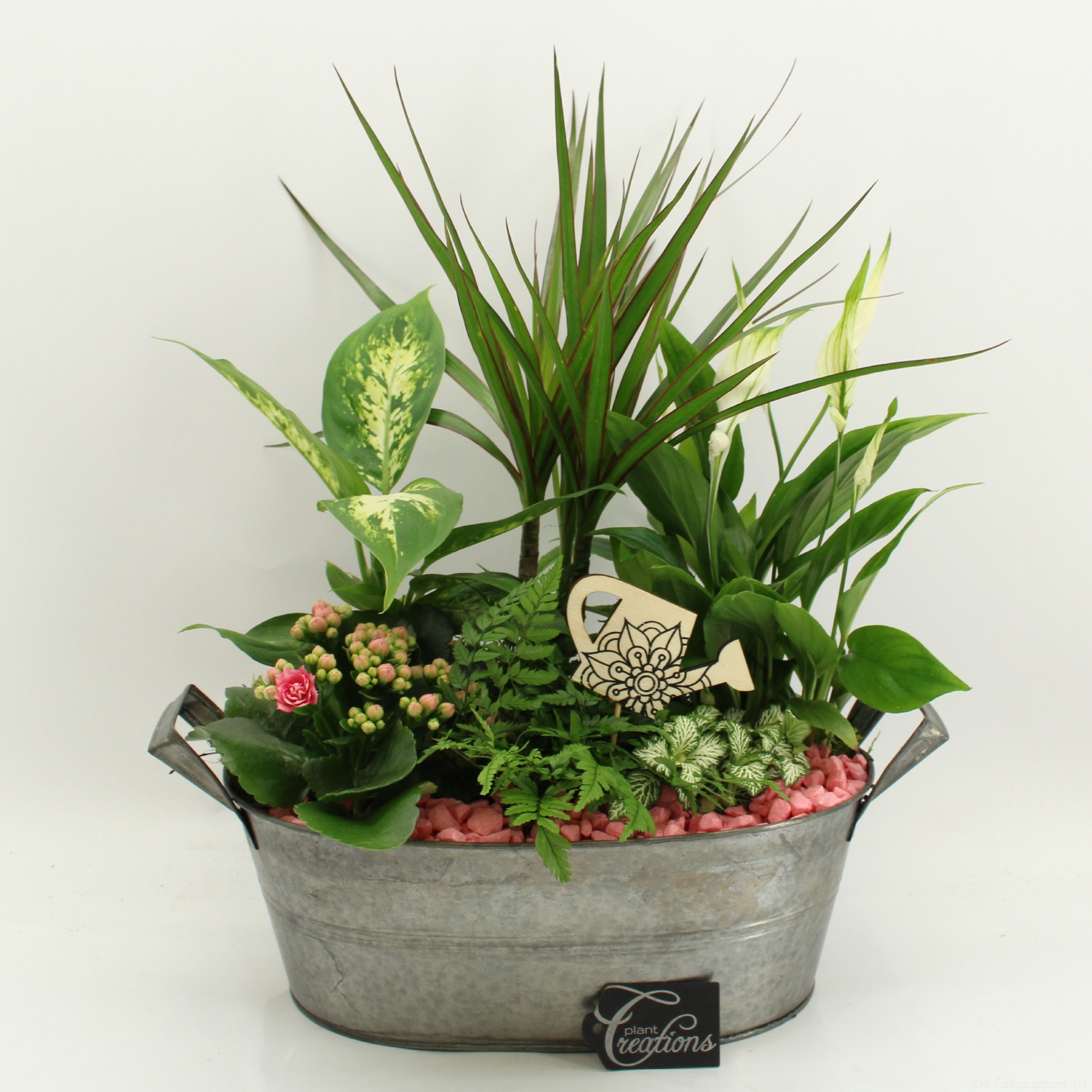 FDCR-2616RZ Basic Fundamentals, D 32