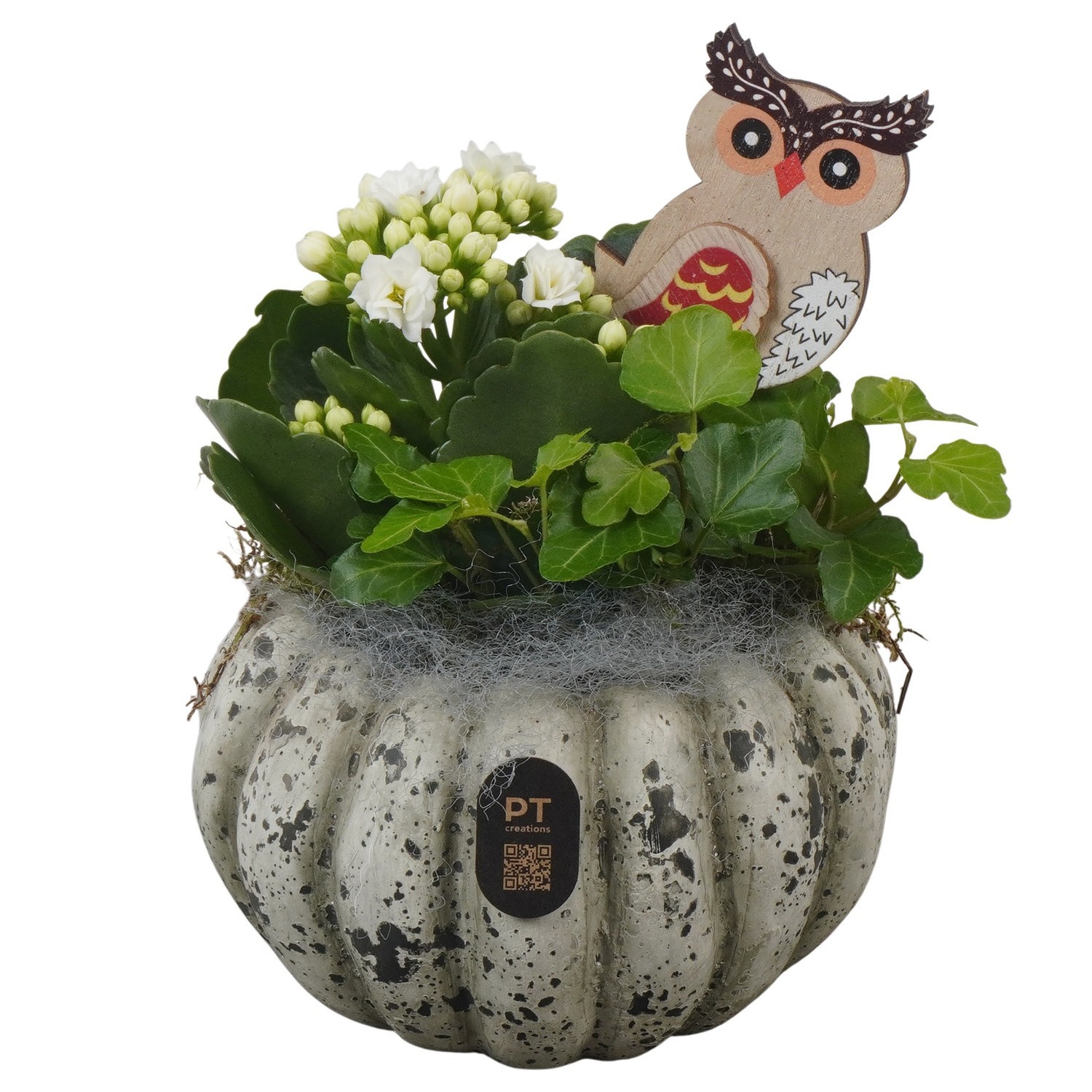 PTHI3260 Arrangement Autumn Indoor in beton pot, D 14