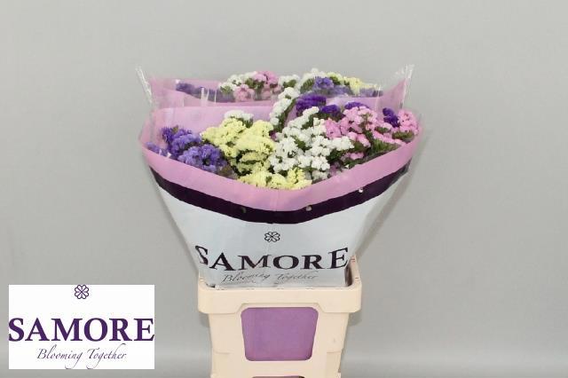 Статица Микс 70, шт.