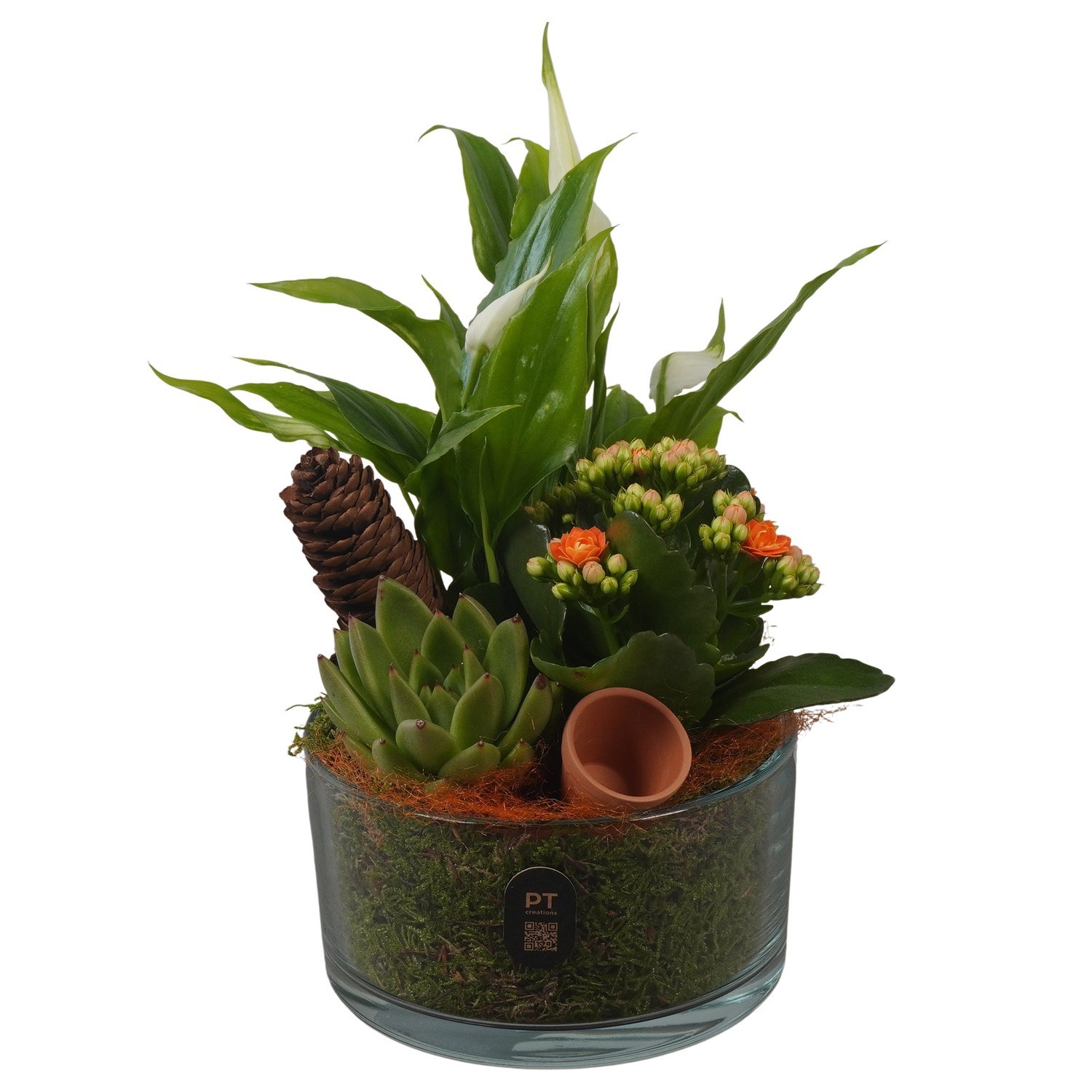 PTHG8201 Arrangement Autumn Glass in glas schaal, D 14