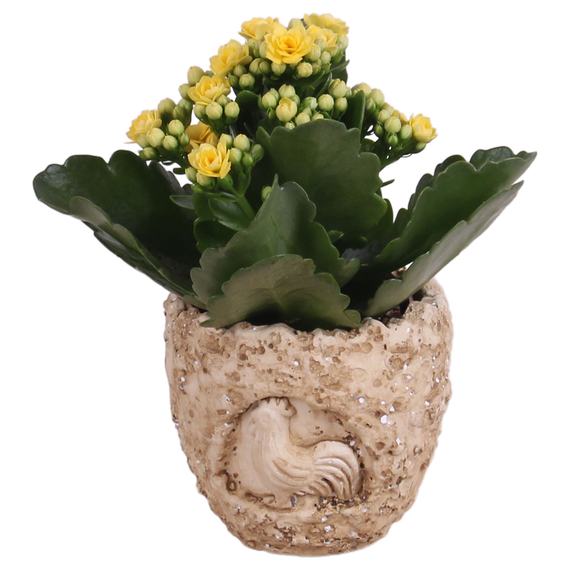 Easter Arr. Indoor Ceramic Lavastone Egg Chicken Relief Ø10cm 1P, D 10
