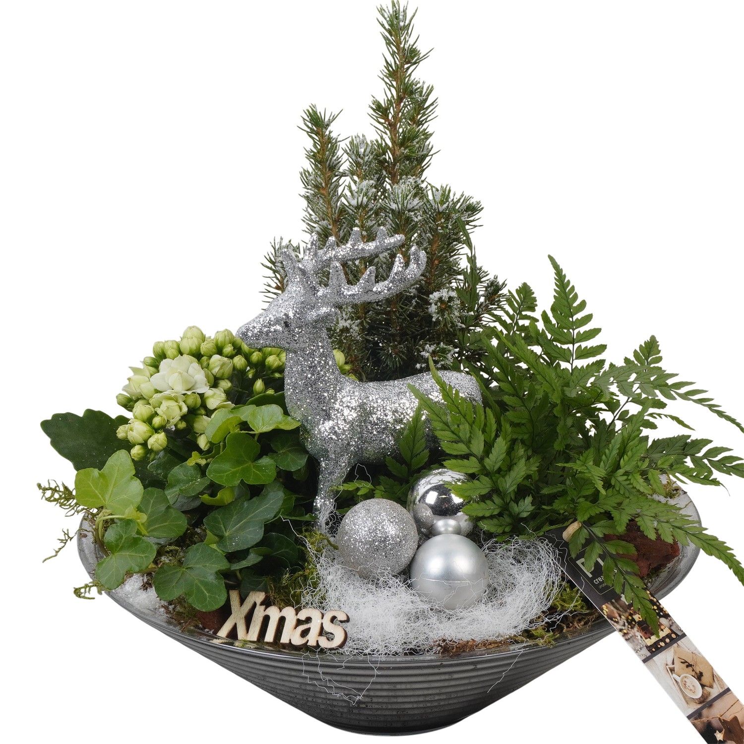 PTCHW4359 Arrangement Christmas White in glas schaal, D 26 cm