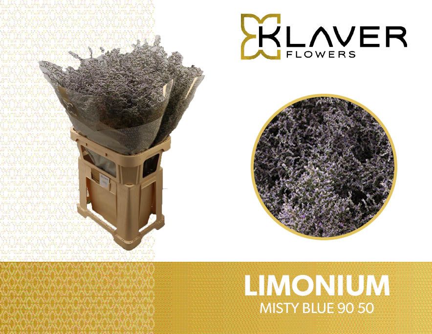 Лимониум Мисти Блю 90, шт.