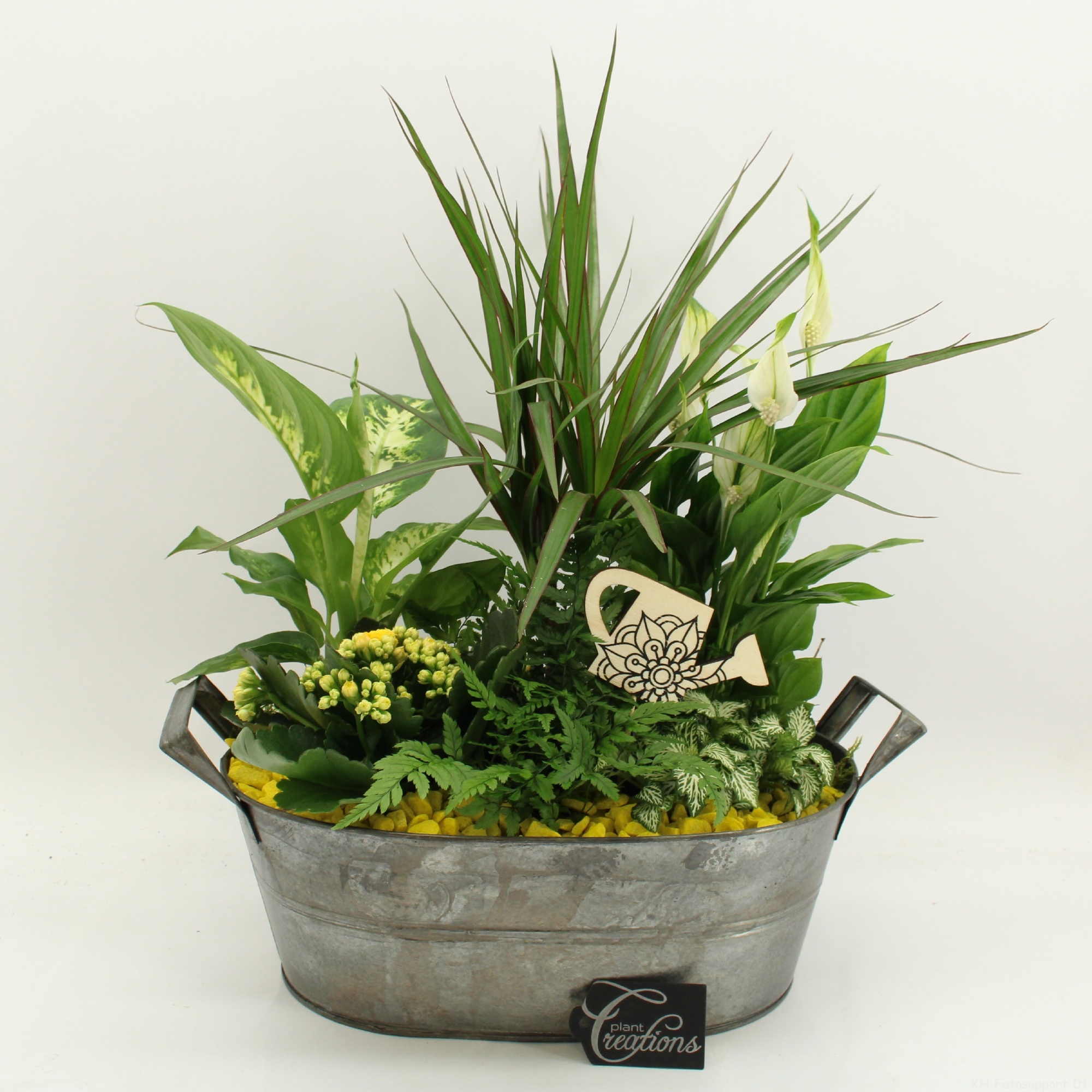 FDCR-2616G Basic Fundamentals, D 32