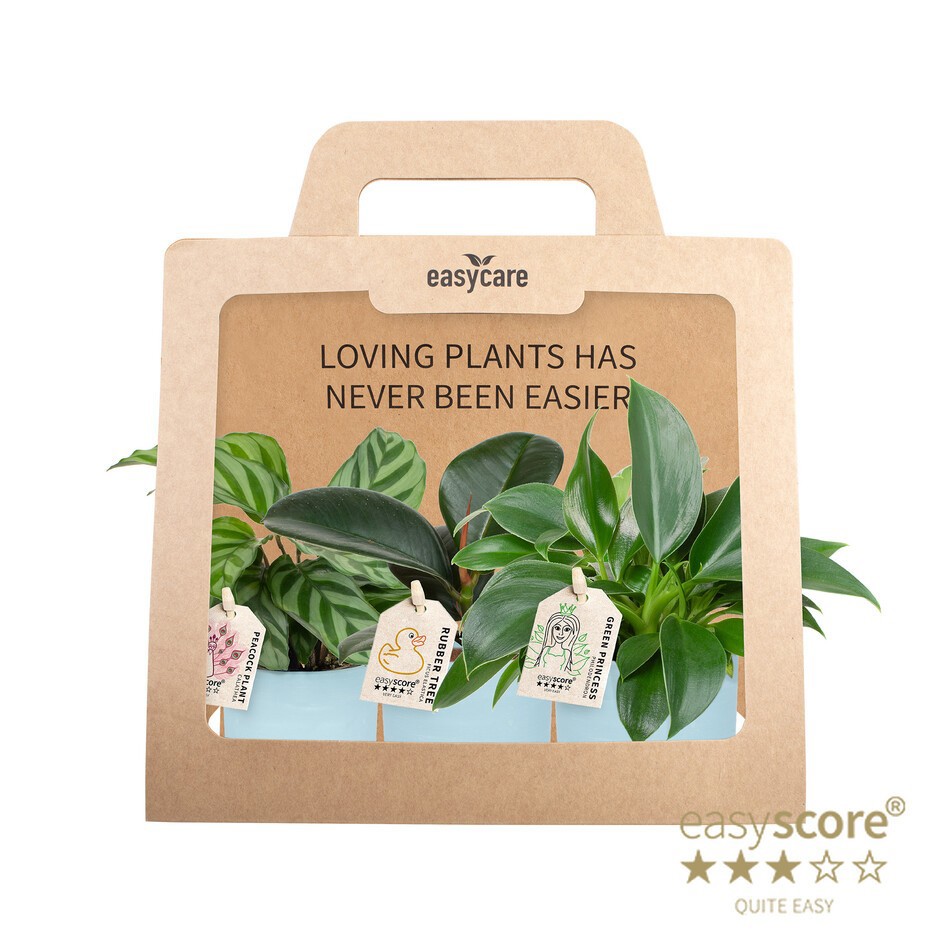 GREEN MIX 40690123 WB Blue 3-pack, D 7 cm